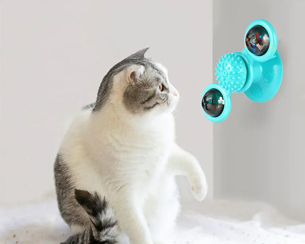 Kat speelt met turquoise kattenspeeltje aan muur, met reflecterende bollen en textuur voor interactief vermaak. Perfect voor kattenliefhebbers.