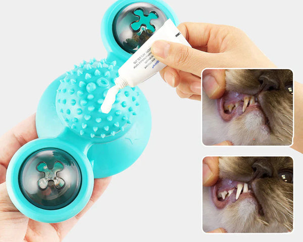 Blauwe interactieve kattenkauwspeelgoed met tandpasta, helpt bij tandverzorging en tandvleesgezondheid, ideaal voor huisdierentandverzorging.