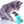 Grijze kitten speelt met interactieve kattenspeelgoed, blauwe spinner met lichtgevende ballen. Perfect voor kattenvermaak en stimulatie.