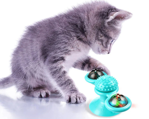 Grijze kitten speelt met interactieve kattenspeelgoed, blauwe spinner met lichtgevende ballen. Perfect voor kattenvermaak en stimulatie.