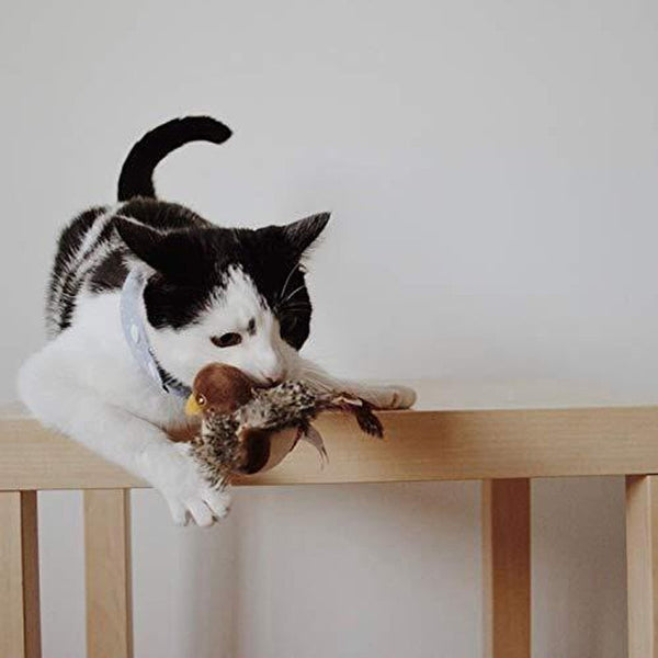 Zwart-witte kat speelt met pluche eend op houten tafel. Huisdier, speelgoed, kat, speels, interieur. Perfect voor kattenliefhebbers en huisdecoratie.