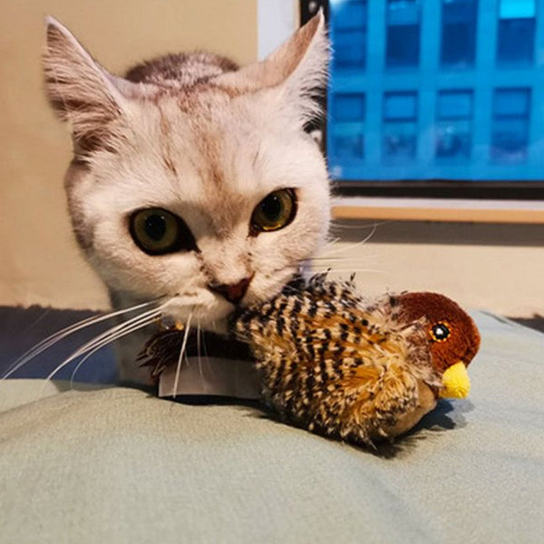 Kat met speelgoedvogel in mond, zittend op kussen voor raam. Schattige huisdierfoto, grijze kat, pluizig speelgoed, binnenhuisomgeving.