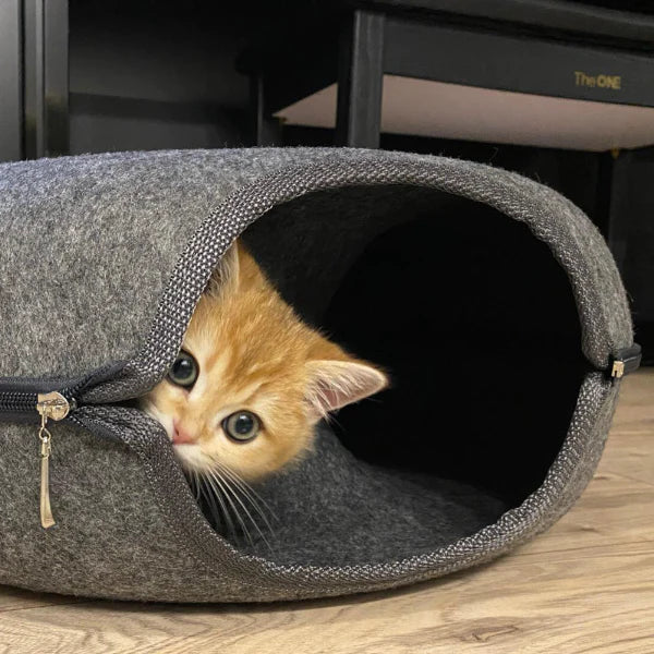 Oranje kitten verstopt zich in grijze vilten kattenmand op houten vloer. Schattige kat, huisdieraccessoires, comfortabele kattenmand.