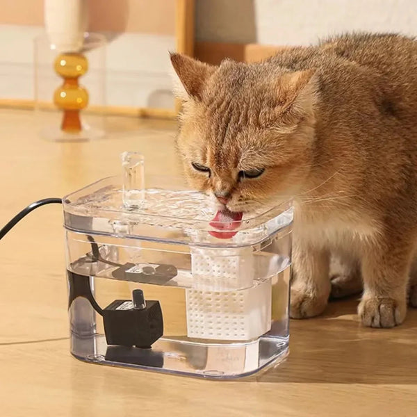 Kat drinkt water uit transparante automatische waterfontein voor huisdieren op houten vloer. Hydratatie, huisdierverzorging, kattenaccessoires.