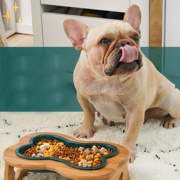 Franse Bulldog likt zijn lippen naast een hondenvoerbak in botvorm, gevuld met droogvoer en vlees, op een witte tapijt in een moderne woonkamer.