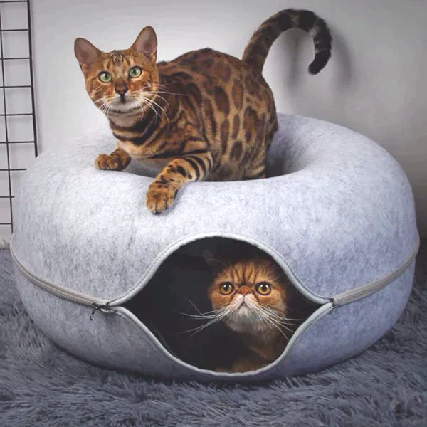 Twee katten in een grijze, ronde kattenmand; een Bengaal bovenop en een Perzische kat binnenin. Perfect voor huisdiercomfort en kattenliefhebbers.