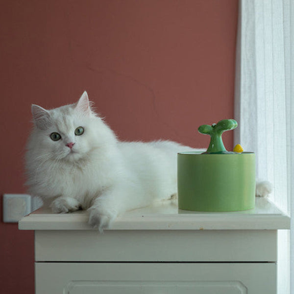 Witte Perzische kat op kast naast groene luchtbevochtiger, tegen een terracotta muur. Huisdier, interieur, luchtbevochtiger, kat, woonkamer.
