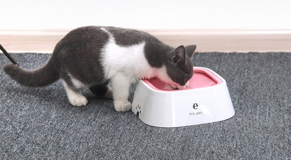 Kat drinkt water uit roze voerbak op grijze vloer. Els Pet kattenbak, modern design, geschikt voor huisdieren. Kattenaccessoires, huisdierbenodigdheden.