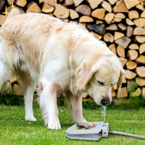 Grote hond drinkt water uit een automatische drinkfontein op gras, met houtblokken op de achtergrond. Ideaal voor huisdieren, buitengebruik.