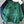 Groene hoodie met dinosaurus en cactus print, tekst 