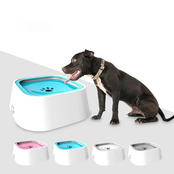 Zwarte hond drinkt uit een witte anti-mors waterbak met blauwe binnenkant. Ideaal voor huisdieren, voorkomt knoeien. Verkrijgbaar in meerdere kleuren.