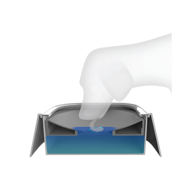 Transparante waterfontein voor huisdieren met een poot die op een sensor drukt, activeert stromend water. Innovatief drinkbakontwerp voor katten en honden.