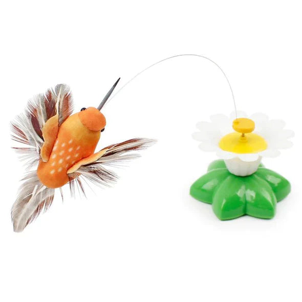 Oranje speelgoedkolibrie met veertjes, bevestigd aan een bloemvormige basis met groene blaadjes. Perfect kattenspeelgoed voor interactief spel.