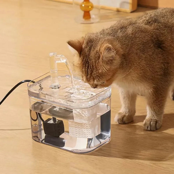 Kat drinkt uit een transparante automatische waterfontein voor huisdieren op houten vloer. Ideaal voor hydratatie en gezondheid van huisdieren.