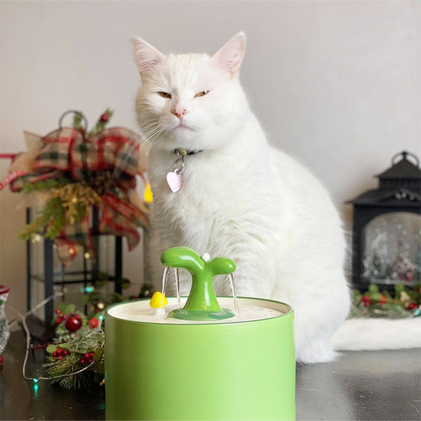 Witte kat naast groene kattenfontein, kerstdecoratie op achtergrond. Ideaal voor huisdieren, drinkfontein met stromend water, modern design.