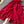 Rode kanten jurk met knoopsluiting en strikceintuur, elegant ontwerp, perfect voor feestelijke gelegenheden. Trendy damesmode, stijlvolle kleding.