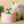 Witte kat drinkt uit roze kattenfontein met groene bloemvormige tuit. Huisdier waterfontein, kattenaccessoires, hydratatie voor katten.
