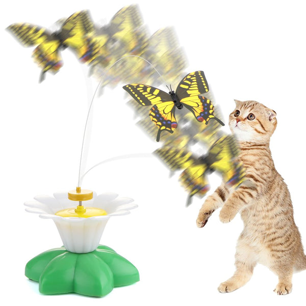 Speelgoed voor katten met bewegende vlinder op bloemvormige basis, interactieve kattenspeeltjes, schattige kat speelt, huisdierentertainment.