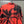 Rood Hawaïshirt met zwarte palmboomprint, korte mouwen, casual zomermode, tropisch design, herenoverhemd, strandkleding.