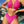 Roze bikini dames, haltertop en hoge taille slip, strandmode, zomerkleding, trendy badmode, zonnige dag, stijlvolle zwemkleding.