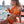 Vrouw in oranje bikini drinkt cocktail op strand, met zee en lantaarns op achtergrond. Zomerse strandmode, vakantie, tropische sfeer.