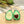 Twee avocado-hangerkettingen met hartvormige pit, liggend op houten ondergrond. Perfecte sieraden voor avocado-liefhebbers en vriendschapskettingen.