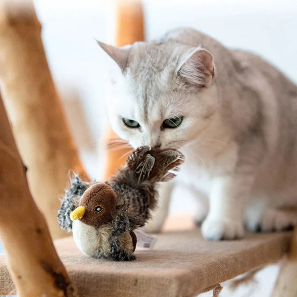 Grijze kat speelt met pluche vogel op krabpaal. Schattig huisdier, kattenspeelgoed, interactief spel. Perfect voor kattenliefhebbers en huisdierverzorging.