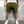 Man in legergroene korte broek, casual stijl, met witte sneakers en wit T-shirt. Trendy herenkleding, comfortabele zomermode.