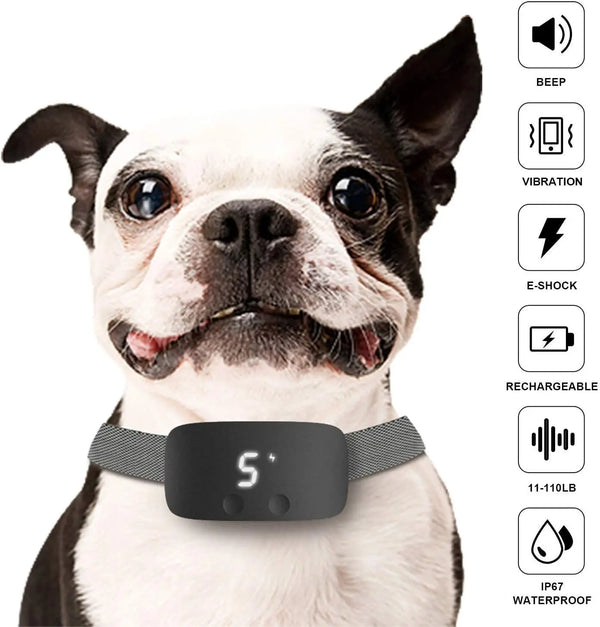 Hond met automatische anti-blafband, oplaadbaar en waterdicht, met piep-, vibratie- en schokfuncties, geschikt voor training en gedragscontrole.