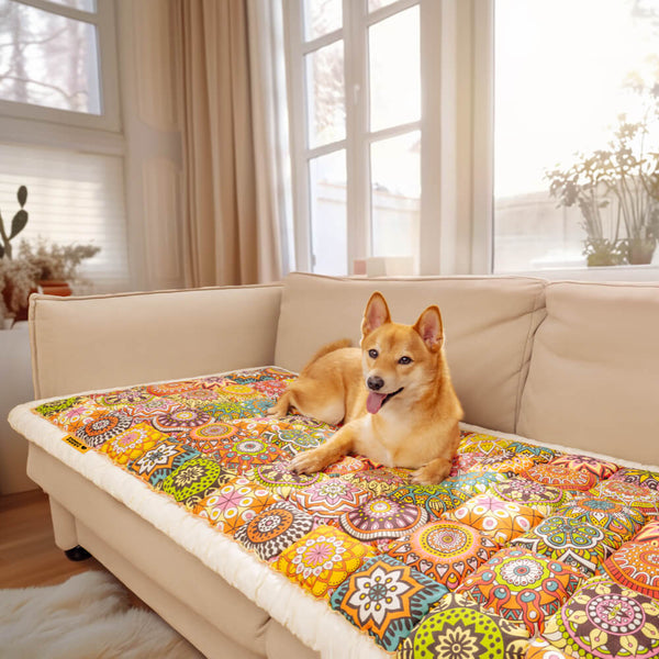 Hond liggend op kleurrijke bohemian deken op beige bank in zonnige woonkamer. Boho interieur, huisdier comfort, gezellige sfeer.