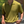 Groene geribbelde polo met korte mouwen, gedragen door een man. Perfect voor casual zomeroutfits. Comfortabele en stijlvolle herenmode.