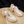Beige damesschoenen met blokhak en strikdetail, gemaakt van tweed en leer, op houten tafel. Trendy en elegante schoenen voor dagelijks gebruik.