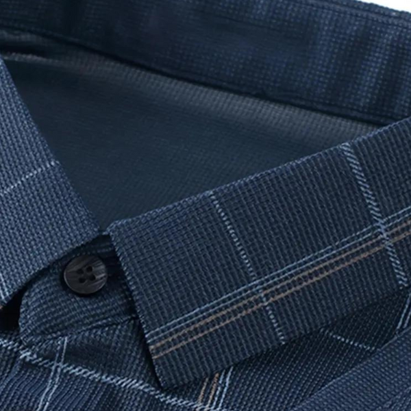 Donkerblauw geruit overhemd met klassieke kraag en knoopsluiting, herenmode, stijlvolle zakelijke kleding, hoogwaardige stof.