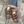 Vrouw draagt geruite pantoffels met gesp, gecombineerd met opgerolde jeans. Comfortabele, modieuze damespantoffels voor binnen en buiten.