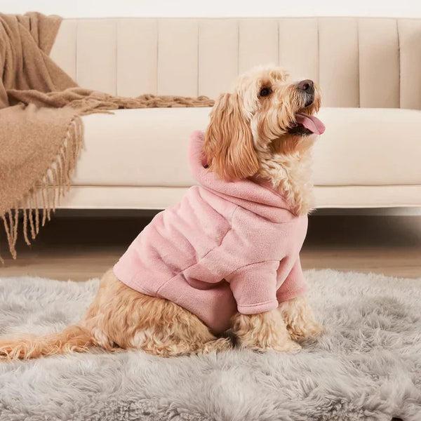 Labradoodle hond in roze trui zittend op grijze vloerkleed voor beige bank. Schattige huisdierkleding, comfortabele hondenmode, gezellige woonkamer.