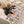 Grijze kat op kleurrijke patchwork bankhoes, katoen, beschermend, woonkamer, huisdecoratie, comfortabele zitbank, gezellige sfeer.