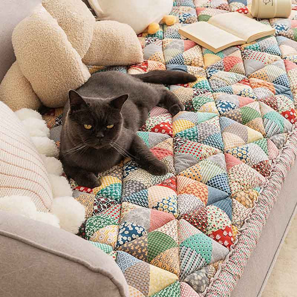 Grijze kat op kleurrijke patchwork bankhoes, katoen, beschermend, woonkamer, huisdecoratie, comfortabele zitbank, gezellige sfeer.