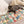 Grijze kat op kleurrijke patchwork bankhoes, katoen, beschermend, vintage stijl, woonkamer decor, huisdier vriendelijk, comfortabele zitplaats.