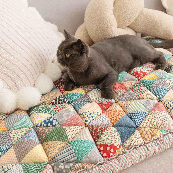 Grijze kat op kleurrijke patchwork bankhoes, katoen, beschermend, vintage stijl, woonkamer decor, huisdier vriendelijk, comfortabele zitplaats.