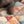 Grijze kat op kleurrijke patchwork bankhoes van katoen, met bloemen- en geometrische patronen. Perfecte bescherming en stijl voor je interieur.