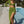 Vrouw in groene jurk met hoge split bij zwembad, zomermode, elegante outfit, buiten, zonnige dag, trendy kleding, stijlvolle look.