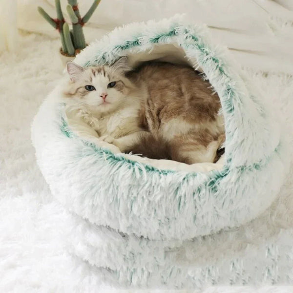 Kat in een donzige, groene kattenmand op een witte vloer. Comfortabele kattenmand, huisdierbed, pluizig design, huisdieraccessoires.
