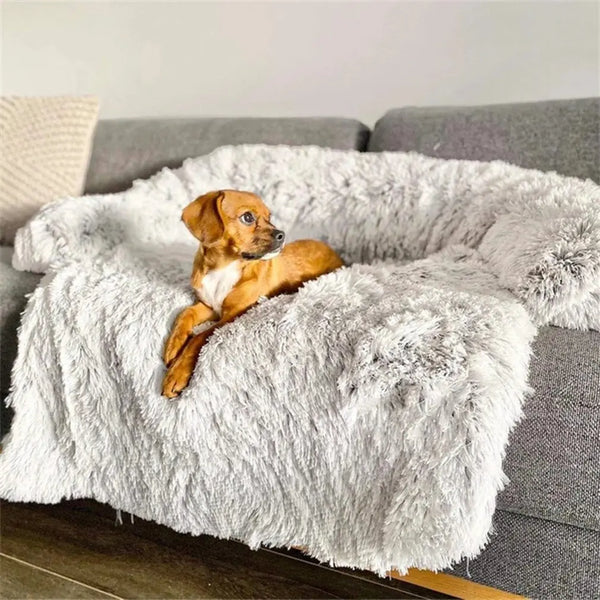 Kleine bruine hond ligt op een grijze, pluche hondenmand op een bank. Comfortabele huisdierenmand, zachte hondenbedden, huisdieraccessoires.