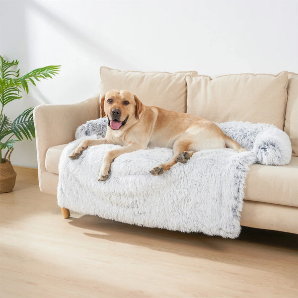 Labrador retriever ligt ontspannen op beige bank met witte, pluizige deken in moderne woonkamer. Hond, huisdier, interieur, comfort, gezellig.