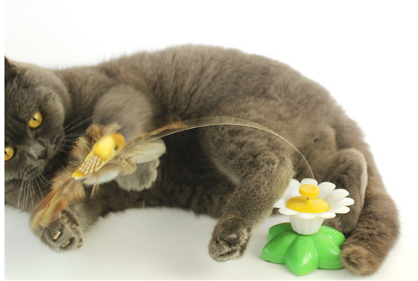 Grijze kat speelt met interactief kattenspeelgoed in bloemvorm, inclusief veer en gele vogel. Perfect voor kattenentertainment en beweging.