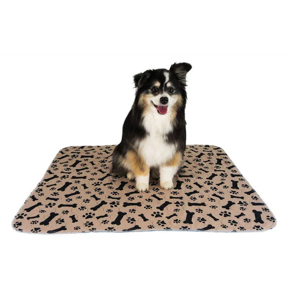 Zwart-witte hond zittend op een beige hondenmat met bot- en pootafdrukken. Perfecte huisdieraccessoire voor comfort en stijl.