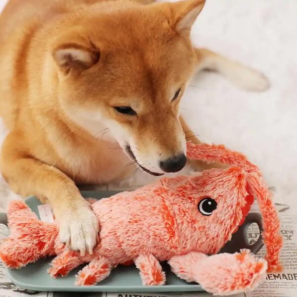 Shiba Inu hond speelt met roze pluche kreeft knuffel op krant. Schattig huisdier speelgoed, hondenspeelgoed, Shiba Inu accessoires.