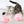Grijze kitten speelt met roze speelgoedbal op witte achtergrond, interactieve kattenspeelgoed, schattige huisdierfoto, kattenaccessoires.