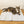 Liggende gestreepte kat op wit, zacht kattenbed op houten vloer, kijkt omhoog. Comfortabel huisdier, kattenaccessoires, huisdecor.