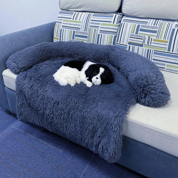 Zwart-witte hond slaapt op een grote, grijze, pluche hondenbank op een moderne bank. Comfortabele hondenmand, huisdierbed, luxe huisdieraccessoire.